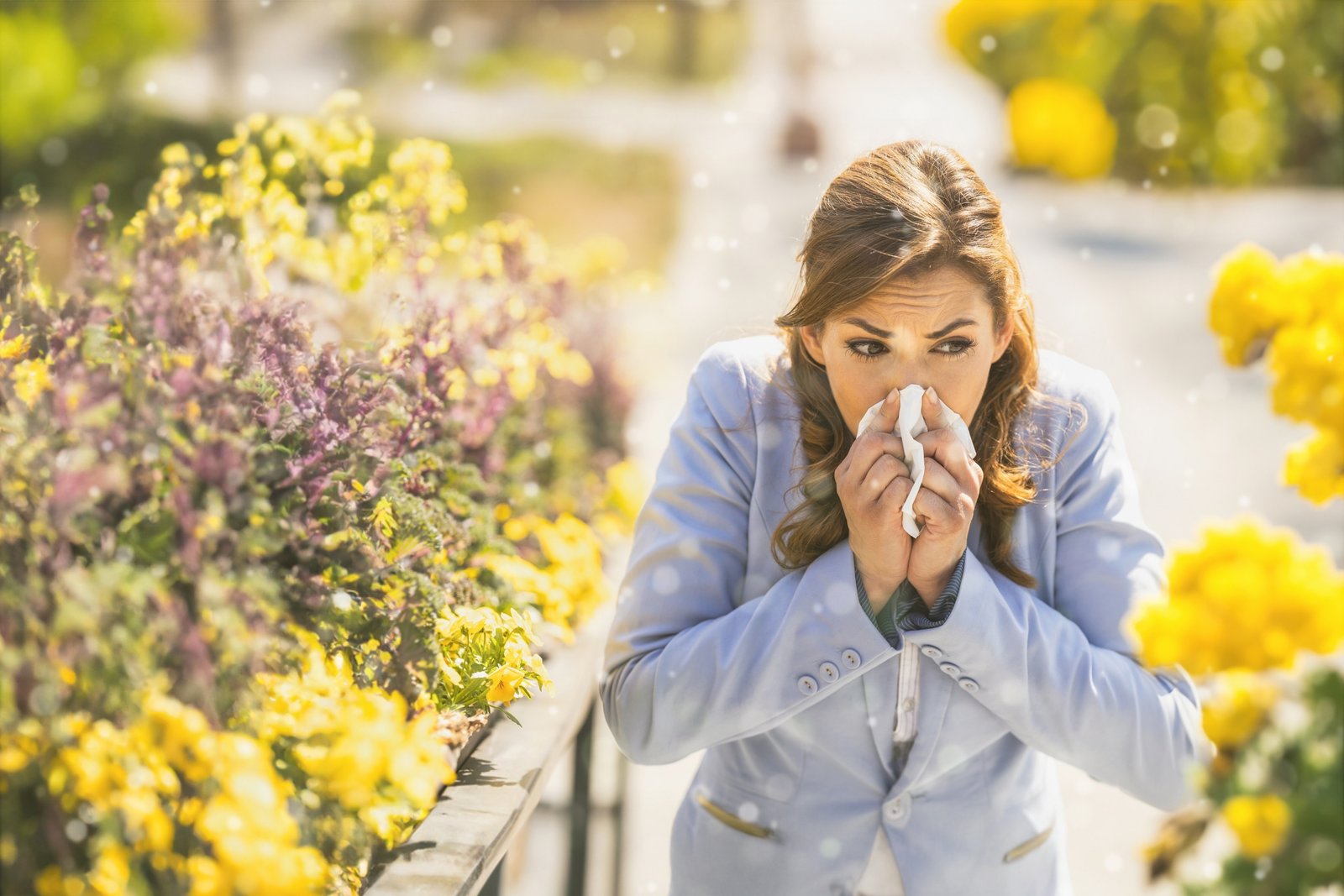 It's The Season Of Sneezes